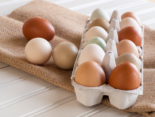 Farm eggs - Awesome Blossom Orchard